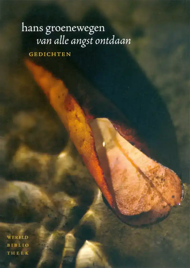 VAN ALLE ANGST ONTDAAN