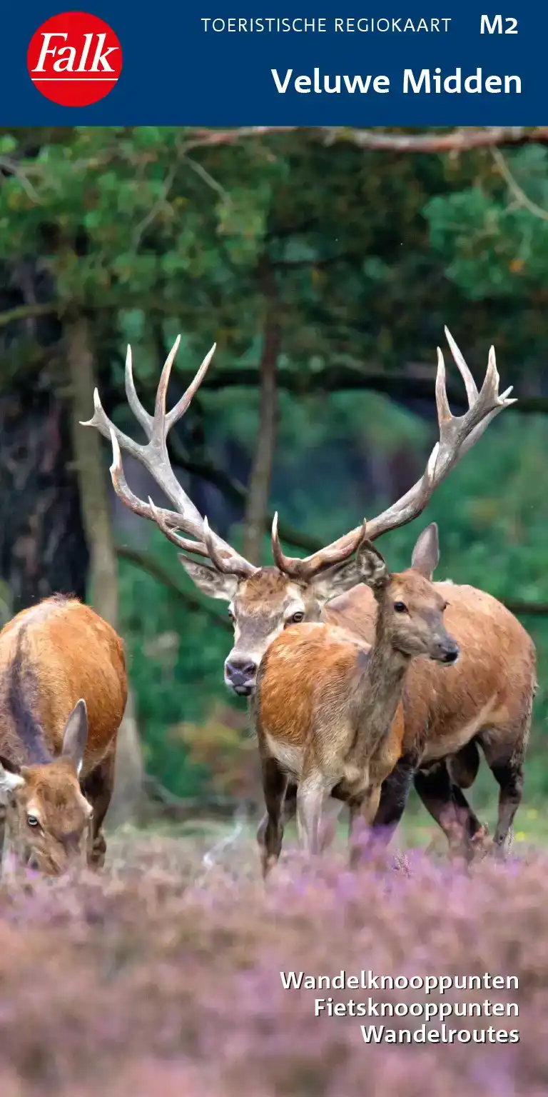 VELUWE MIDDEN