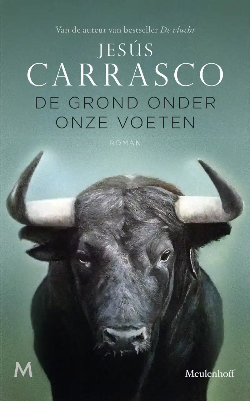 DE GROND ONDER ONZE VOETEN