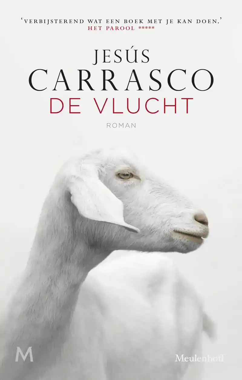 DE VLUCHT