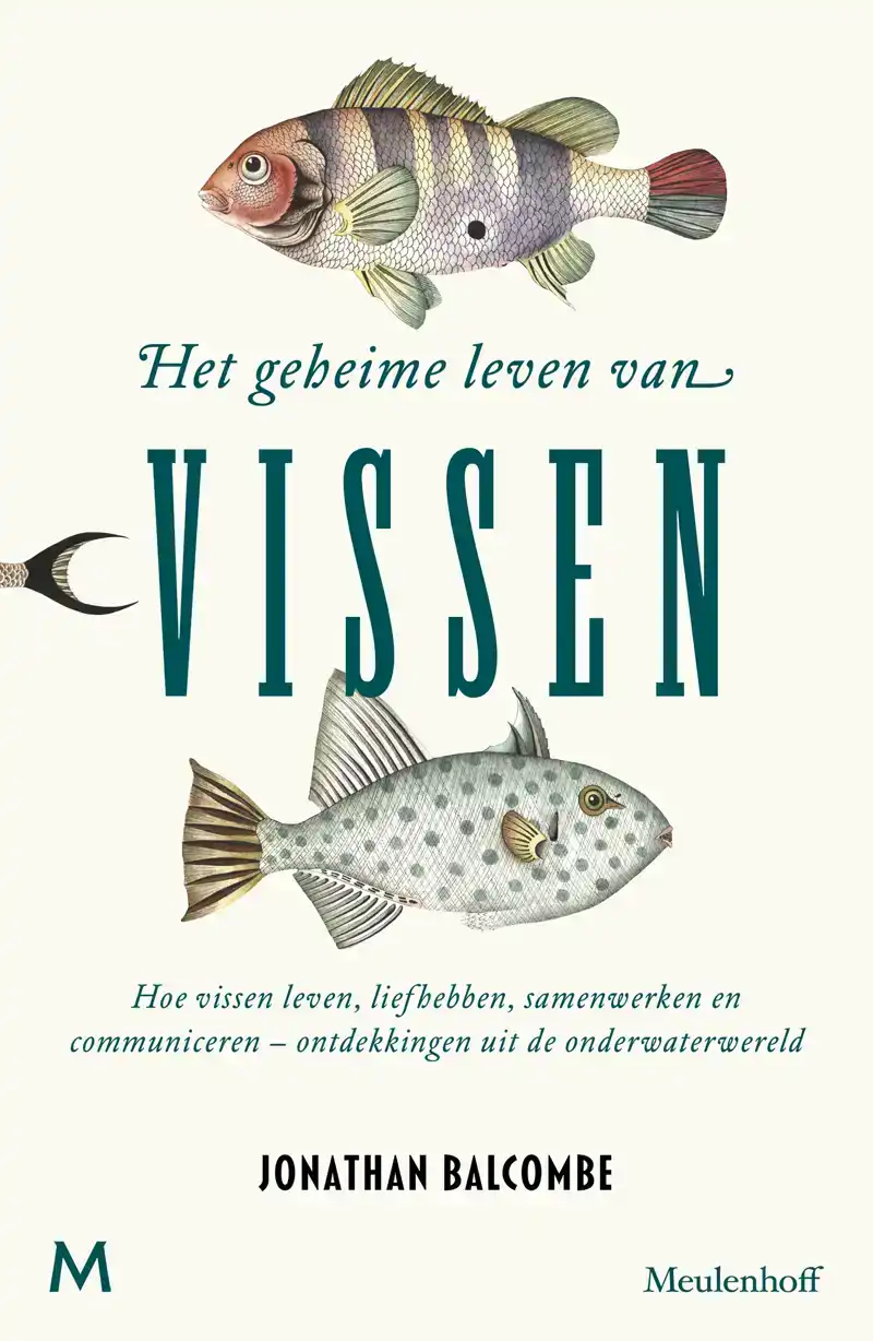 HET GEHEIME LEVEN VAN VISSEN