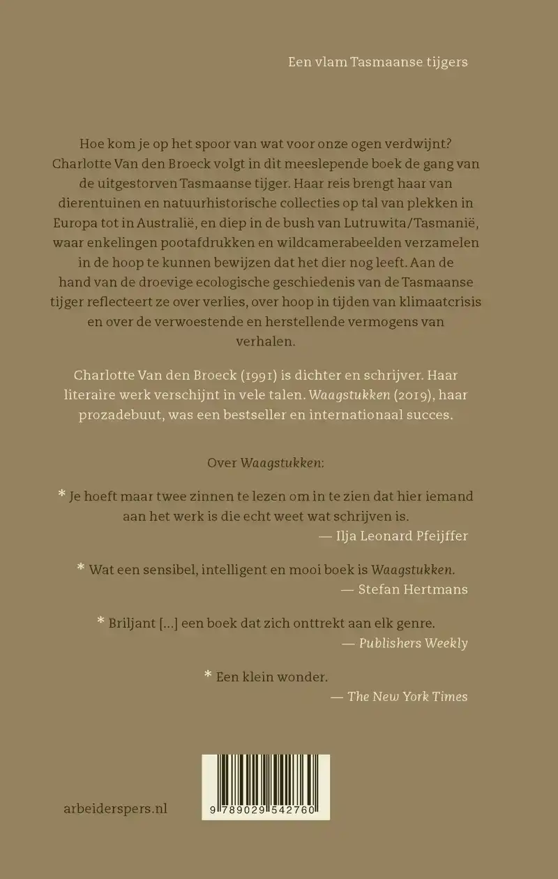 EEN VLAM TASMAANSE TIJGERS