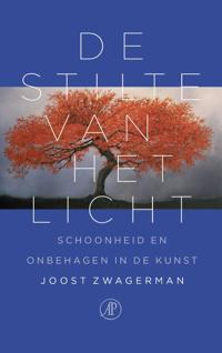 DE STILTE VAN HET LICHT