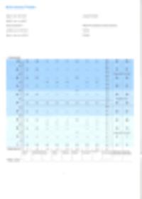 NON-VERBALE LEERSTOORNISSCHALEN (NLD-SCHALEN) - PROFIELFORMU