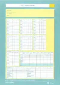SOCIAAL COGNITIEVE VAARDIGHEDEN TEST (SCVT) - SCOREFORMULIER