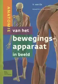 ANATOMIE VAN HET BEWEGINGSAPPARAAT IN BEELD