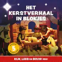 HET KERSTVERHAAL IN BLOKJES