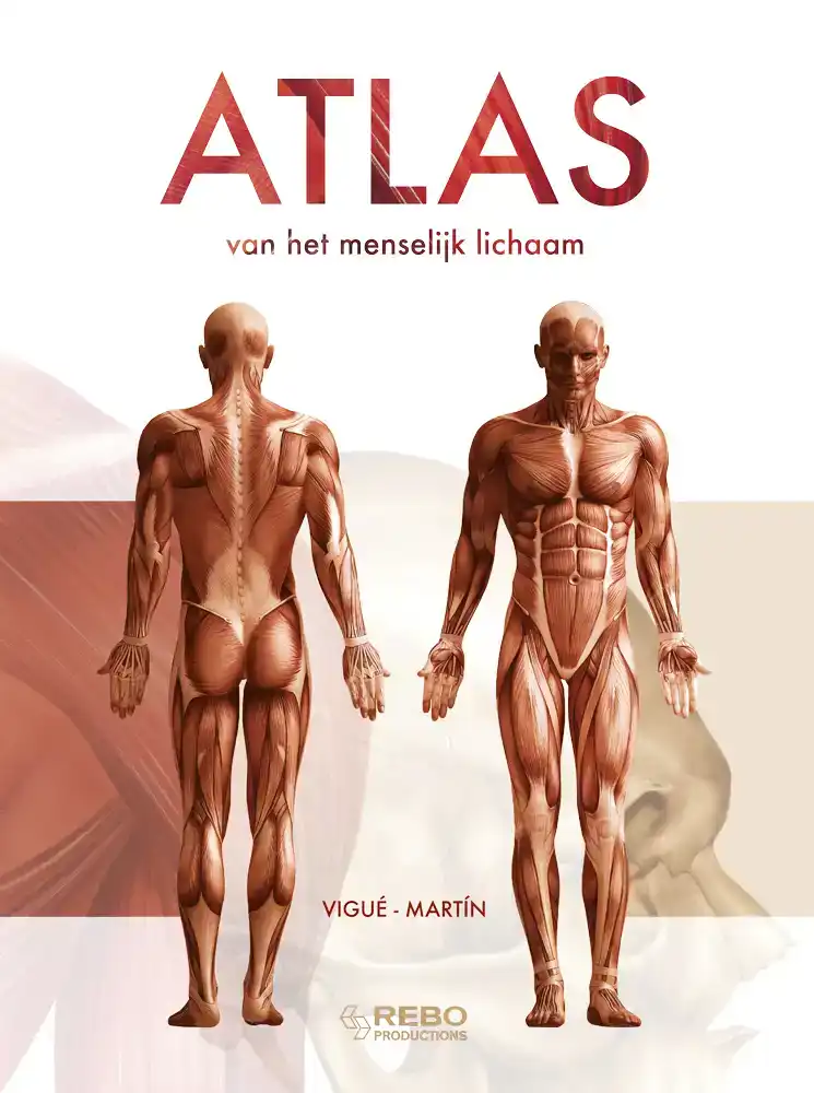ATLAS VAN HET MENSELIJK LICHAAM
