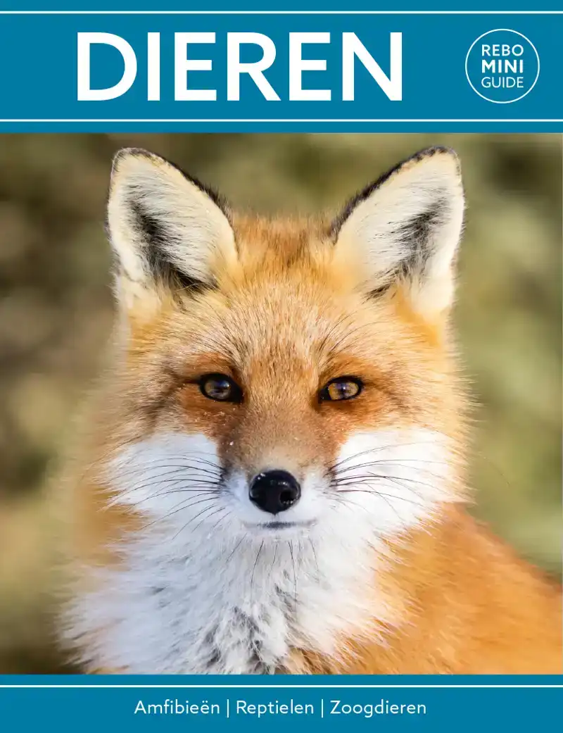 REBO MINI GUIDE - DIEREN