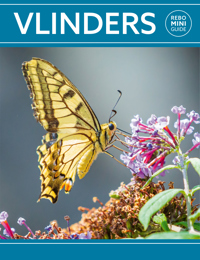 REBO MINI GUIDE - VLINDERS