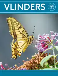 REBO MINI GUIDE - VLINDERS