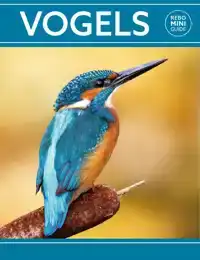 REBO MINI GUIDE - VOGELS