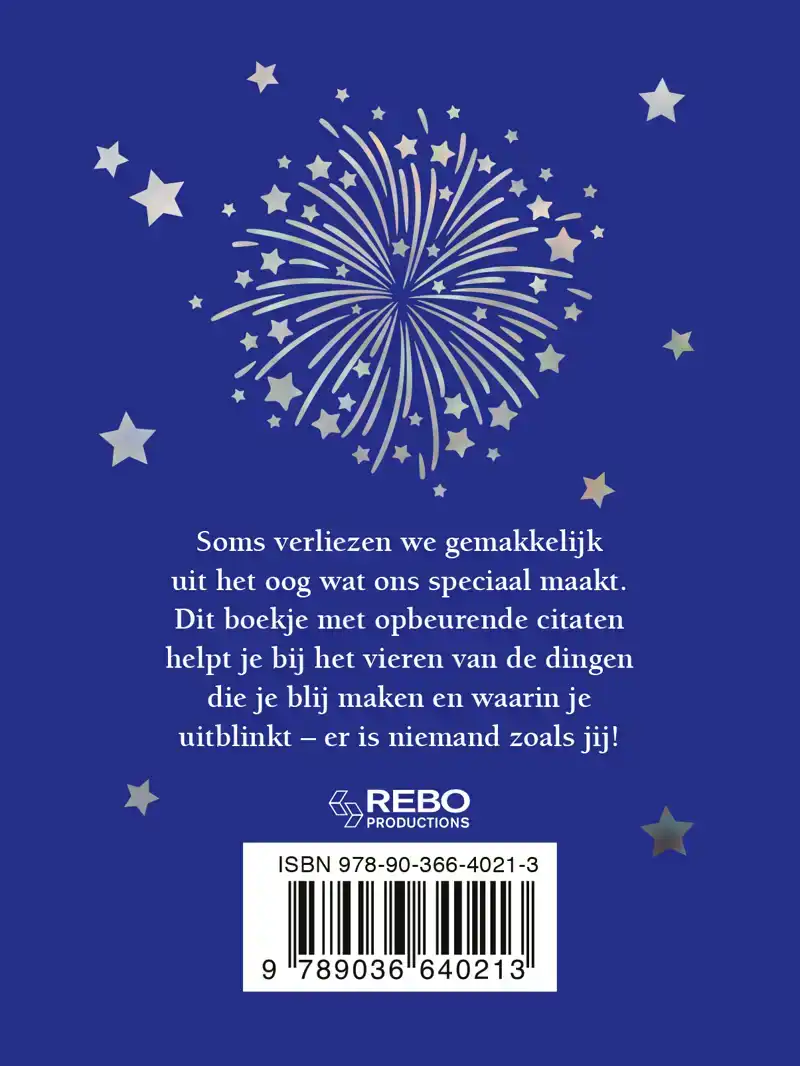 NEVER LOSE YOUR SPARKLE - CADEAUBOEK