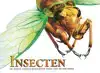 INSECTEN - MEEST ANGSTAANJAGENDE