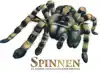 SPINNEN EN ANDERE ANGSTAANJAGENDE BEESTJES