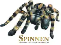 SPINNEN EN ANDERE ANGSTAANJAGENDE BEESTJES
