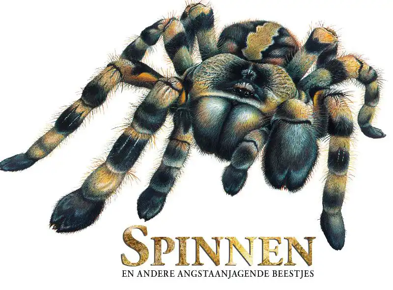 SPINNEN EN ANDERE ANGSTAANJAGENDE BEESTJES