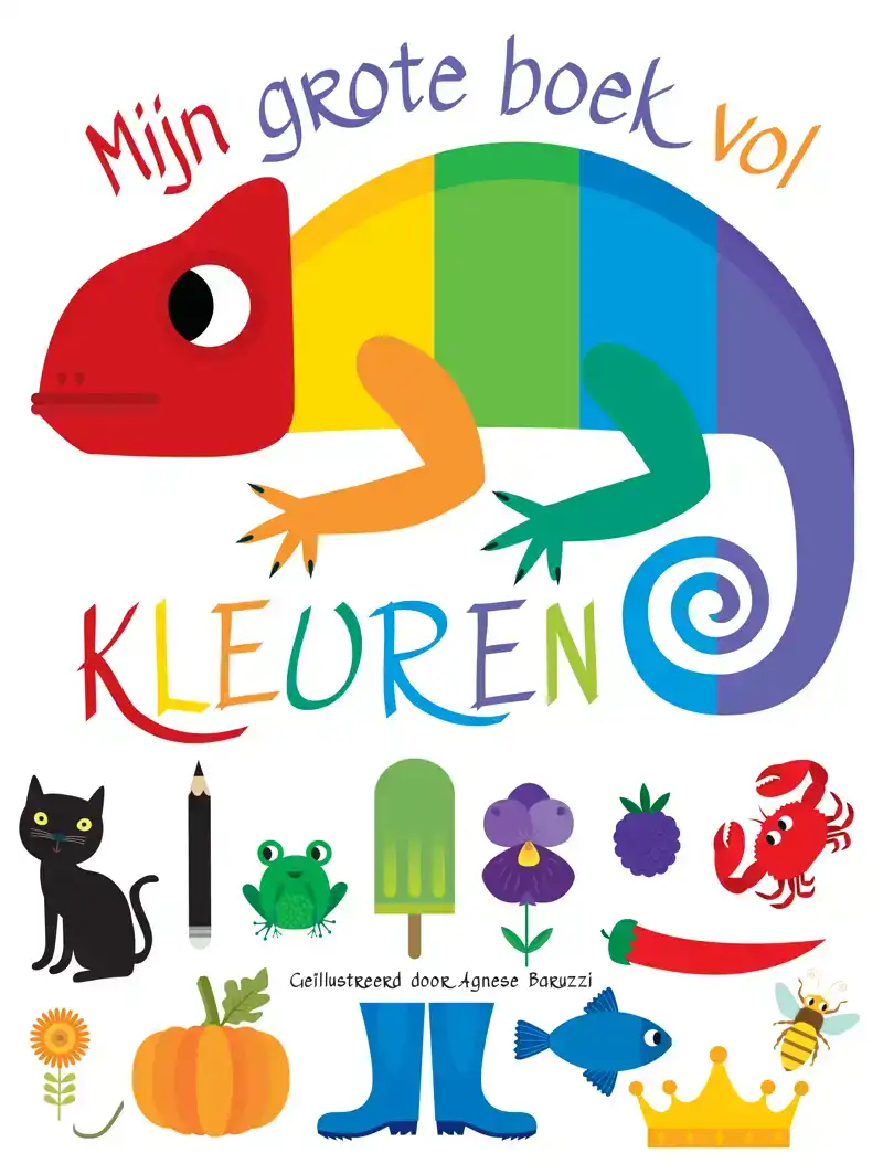 MIJN GROTE BOEK VOL KLEUREN