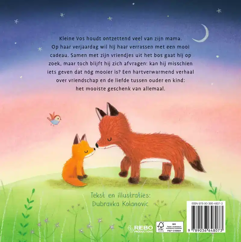 HET MOOISTE CADEAU OOIT