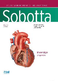 SOBOTTA