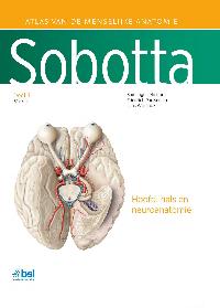 SOBOTTA