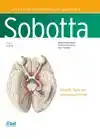 SOBOTTA