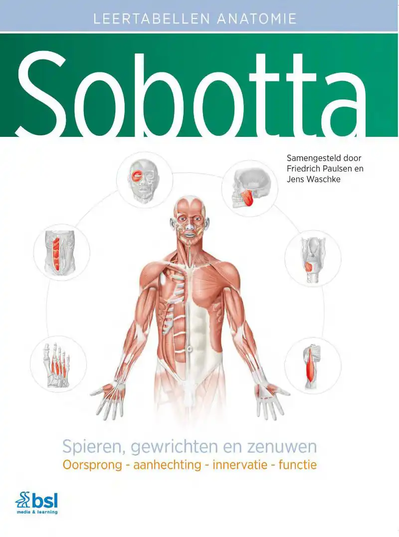 SOBOTTA TABELLEN OVER SPIEREN, GEWRICHTEN EN ZENUWEN