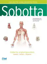 SOBOTTA - COLLECTIE ANATOMIEPOSTERS