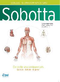 SOBOTTA - COLLECTIE ANATOMIEPOSTERS