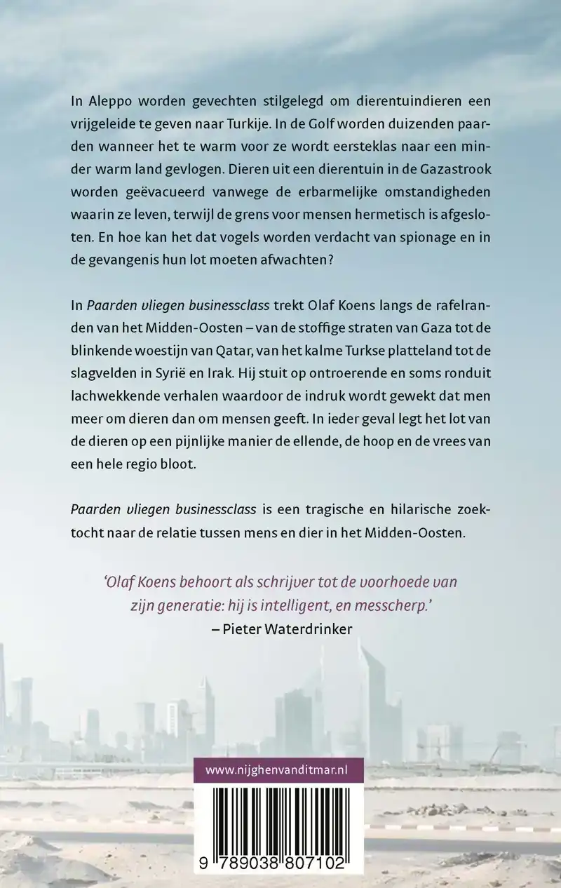 PAARDEN VLIEGEN BUSINESSCLASS