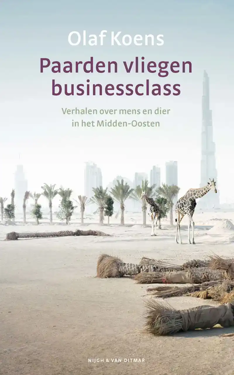 PAARDEN VLIEGEN BUSINESSCLASS