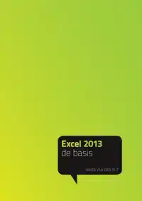 EXCEL 2013