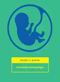 OVERZICHT EMBRYOLOGIE