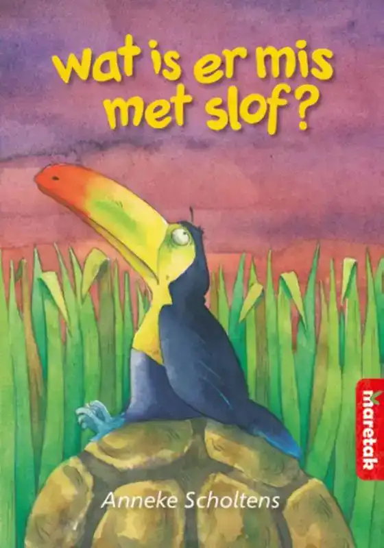 WAT IS ER MIS MET SLOF?