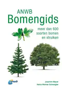 BOMENGIDS