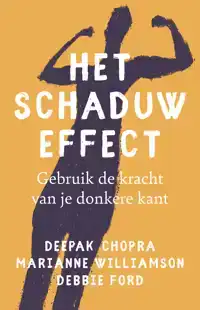 HET SCHADUW EFFECT