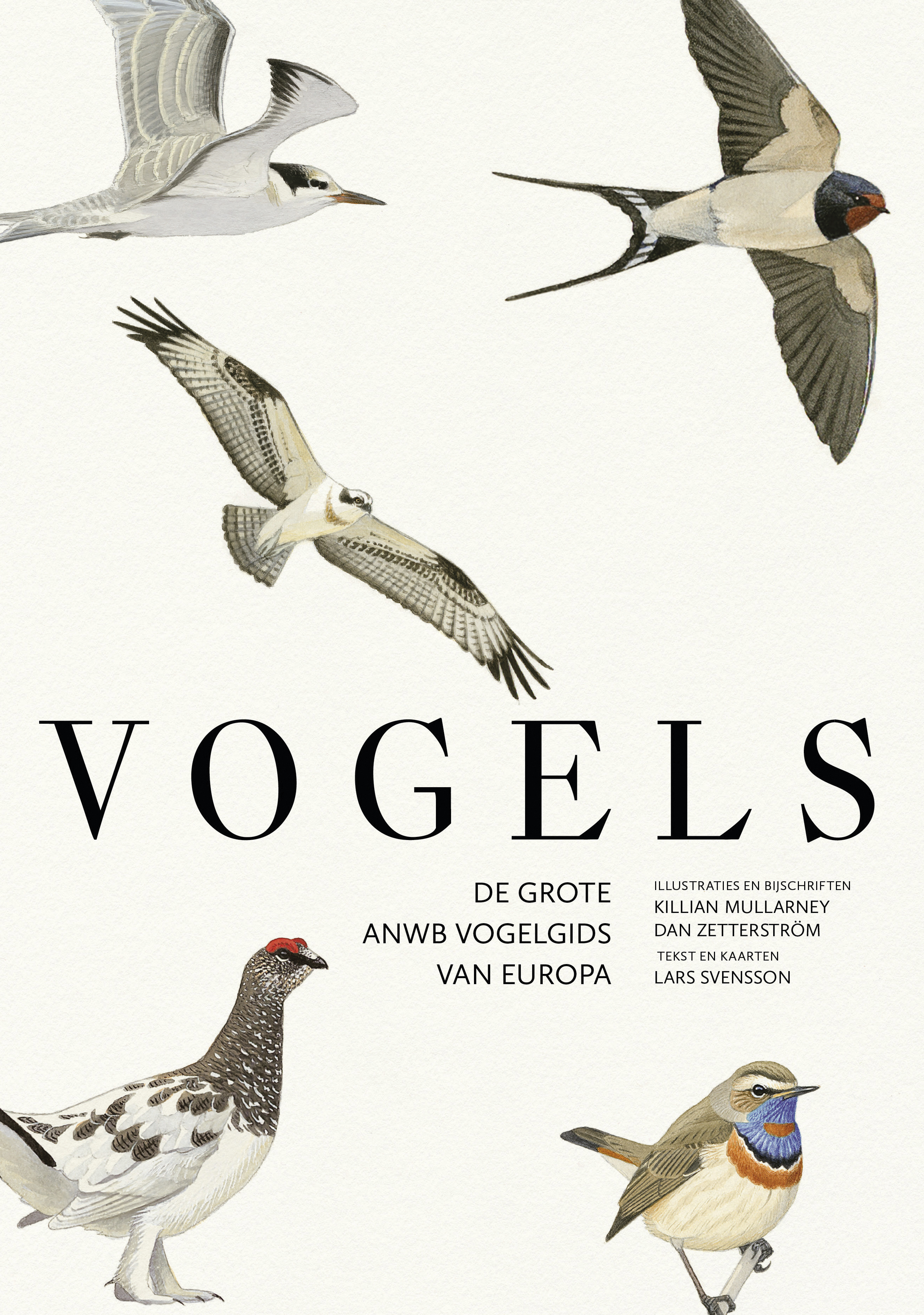 VOGELS