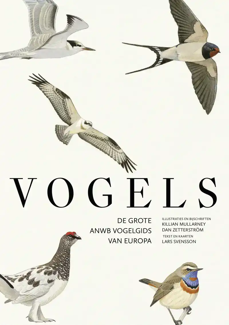 VOGELS