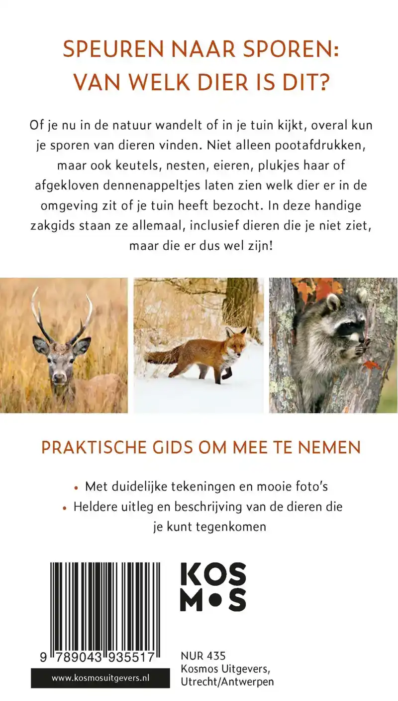 DIERSPORENGIDS