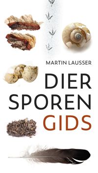 DIERSPORENGIDS