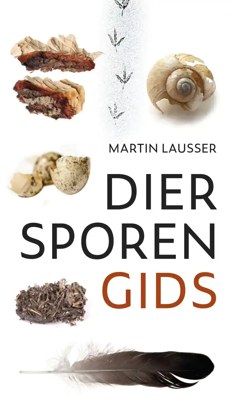 DIERSPORENGIDS