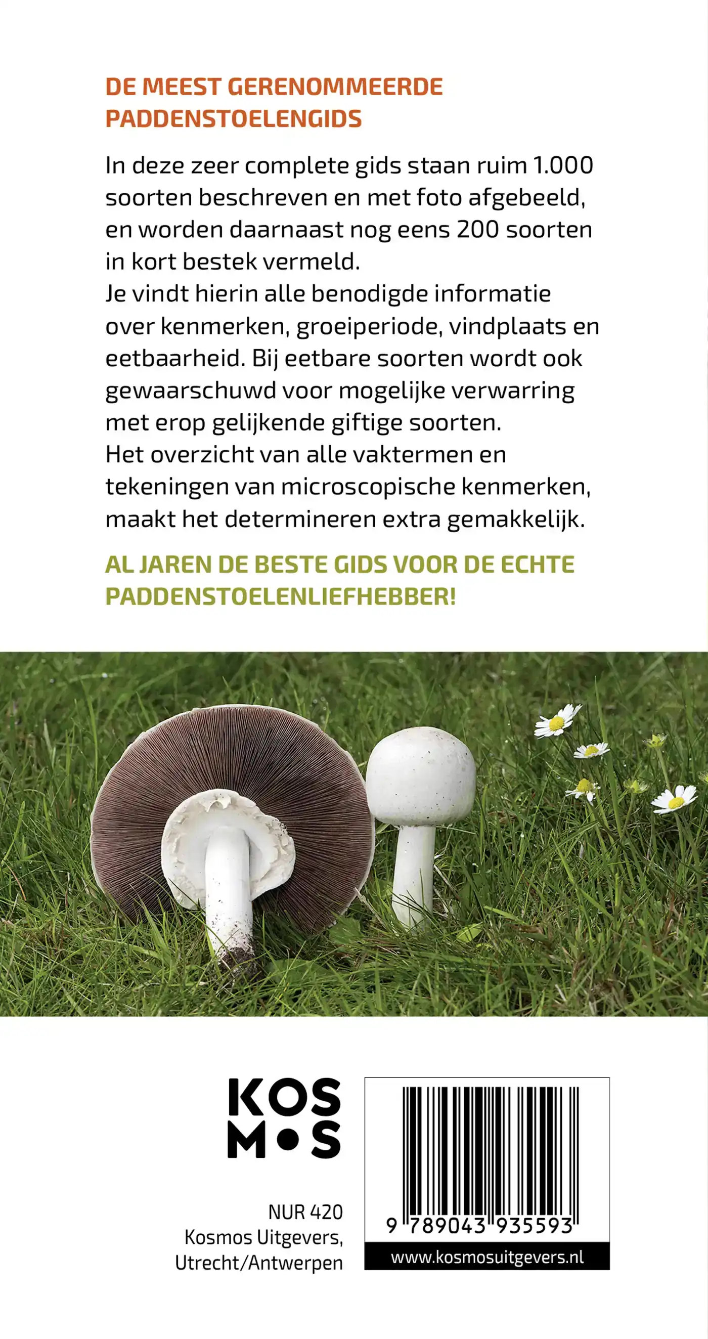 DE GROTE PADDENSTOELENGIDS VOOR ONDERWEG