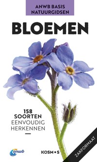 BLOEMEN