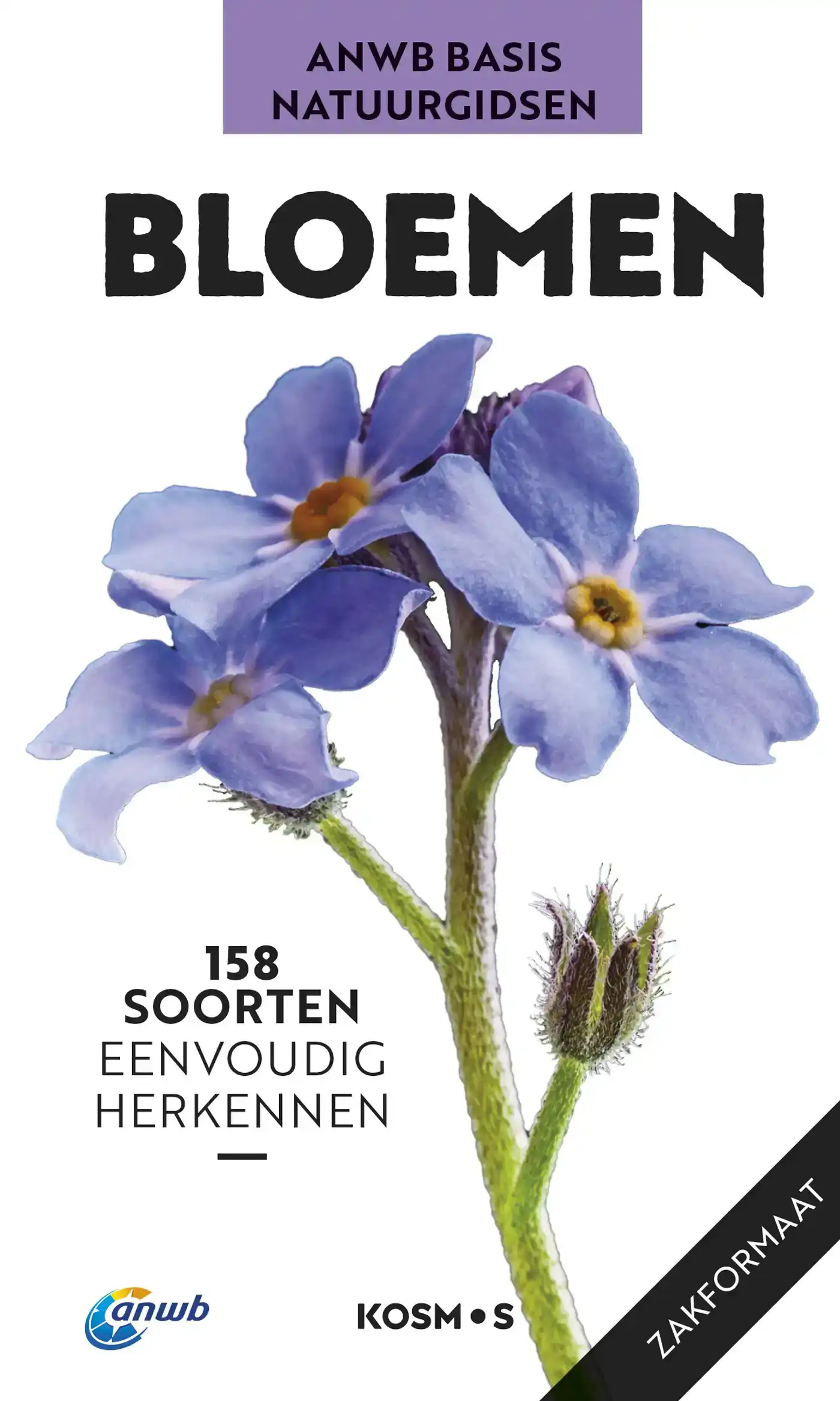 BLOEMEN