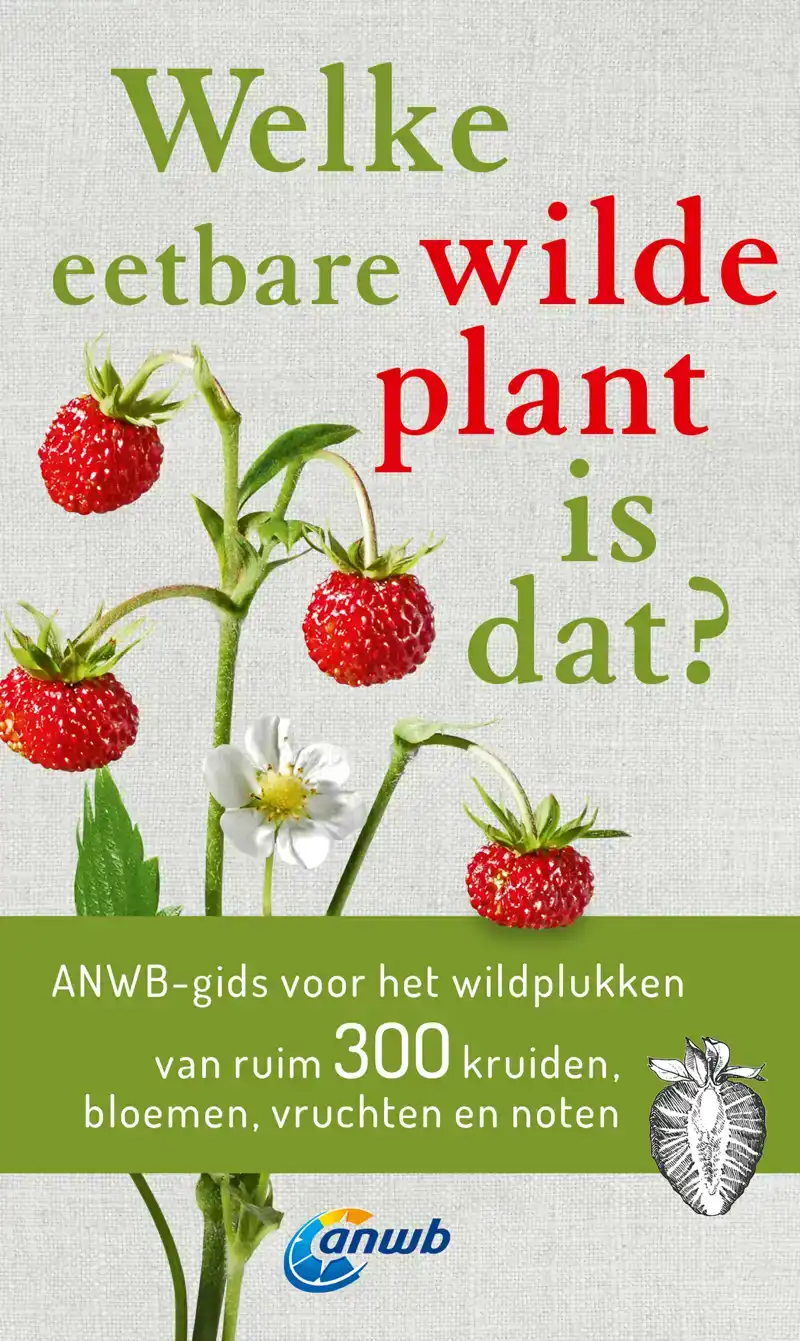 WELKE EETBARE WILDE PLANT IS DAT?
