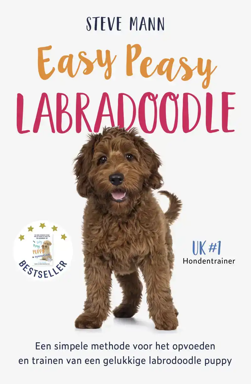 EASY PEASY LABRADOODLE