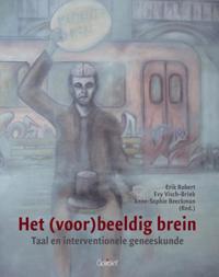 HET (VOOR)BEELDIG BREIN