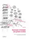 DUURZAAM ONTWERPEN VAN GROENE RUIMTEN