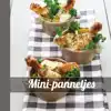MINI-PANNETJES