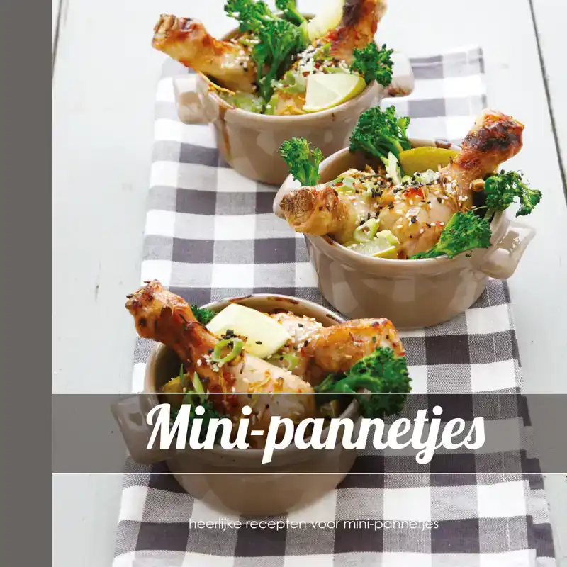 MINI-PANNETJES